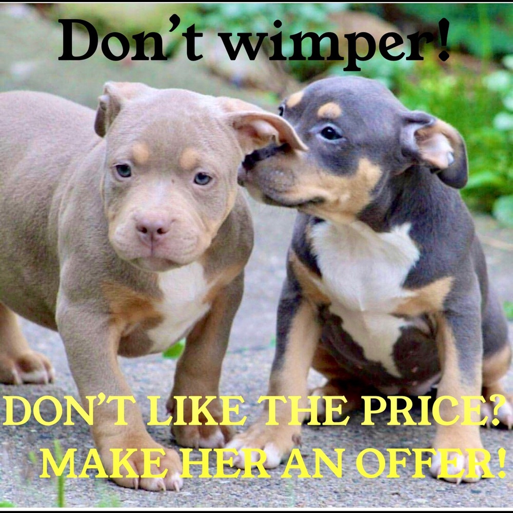 💚 item, but don’t like the price? Make an offer!